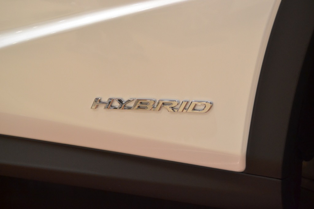 DSC_0356resiazed.JPG